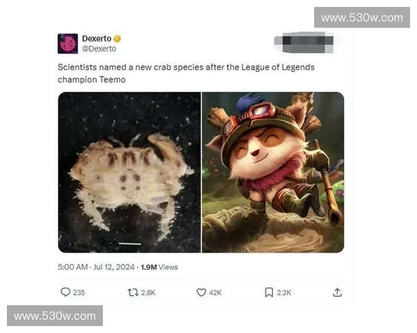 英雄联盟中提莫的全面解析与隐藏实力揭示